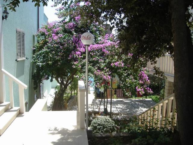 Beachfront Dida - *